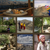 Vintage Rides : Ladakh en 2018
